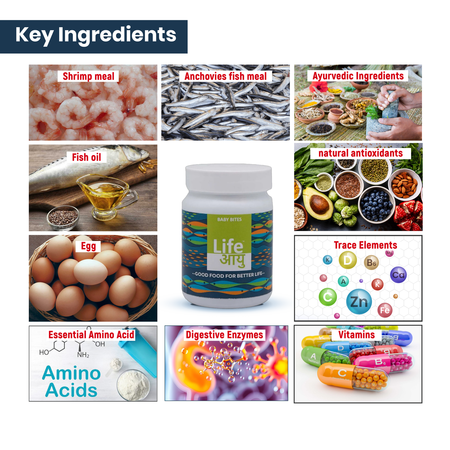 Life AAYU Baby Bites – Superfood for Fry & Baby Fish Growth 30g