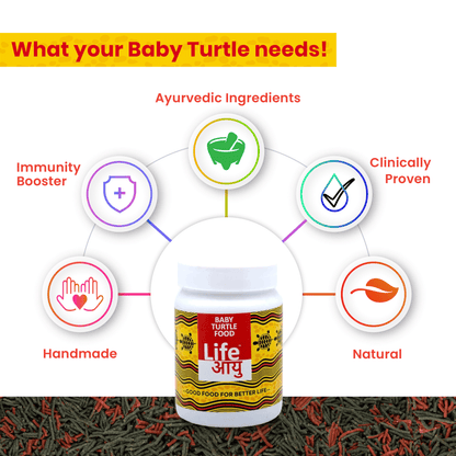Life AAYU Baby Turtle Food – Ayurvedic Handmade Pellets for Shell Growth, Calcium & Vitality | For 2”–4” Baby Turtles (70g)