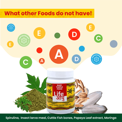 Life AAYU Baby Turtle Food – Ayurvedic Handmade Pellets for Shell Growth, Calcium & Vitality | For 2”–4” Baby Turtles (70g)