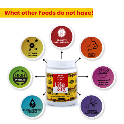 Life AAYU Baby Turtle Food – Ayurvedic Handmade Pellets for Shell Growth, Calcium & Vitality | For 2”–4” Baby Turtles (70g)