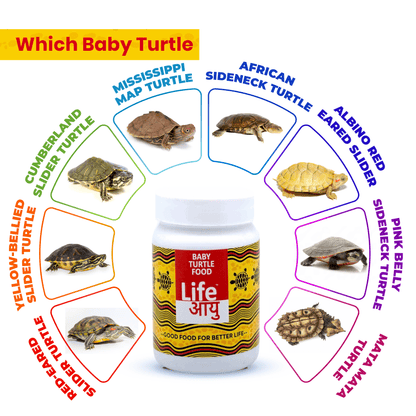Life AAYU Baby Turtle Food – Ayurvedic Handmade Pellets for Shell Growth, Calcium & Vitality | For 2”–4” Baby Turtles (70g)