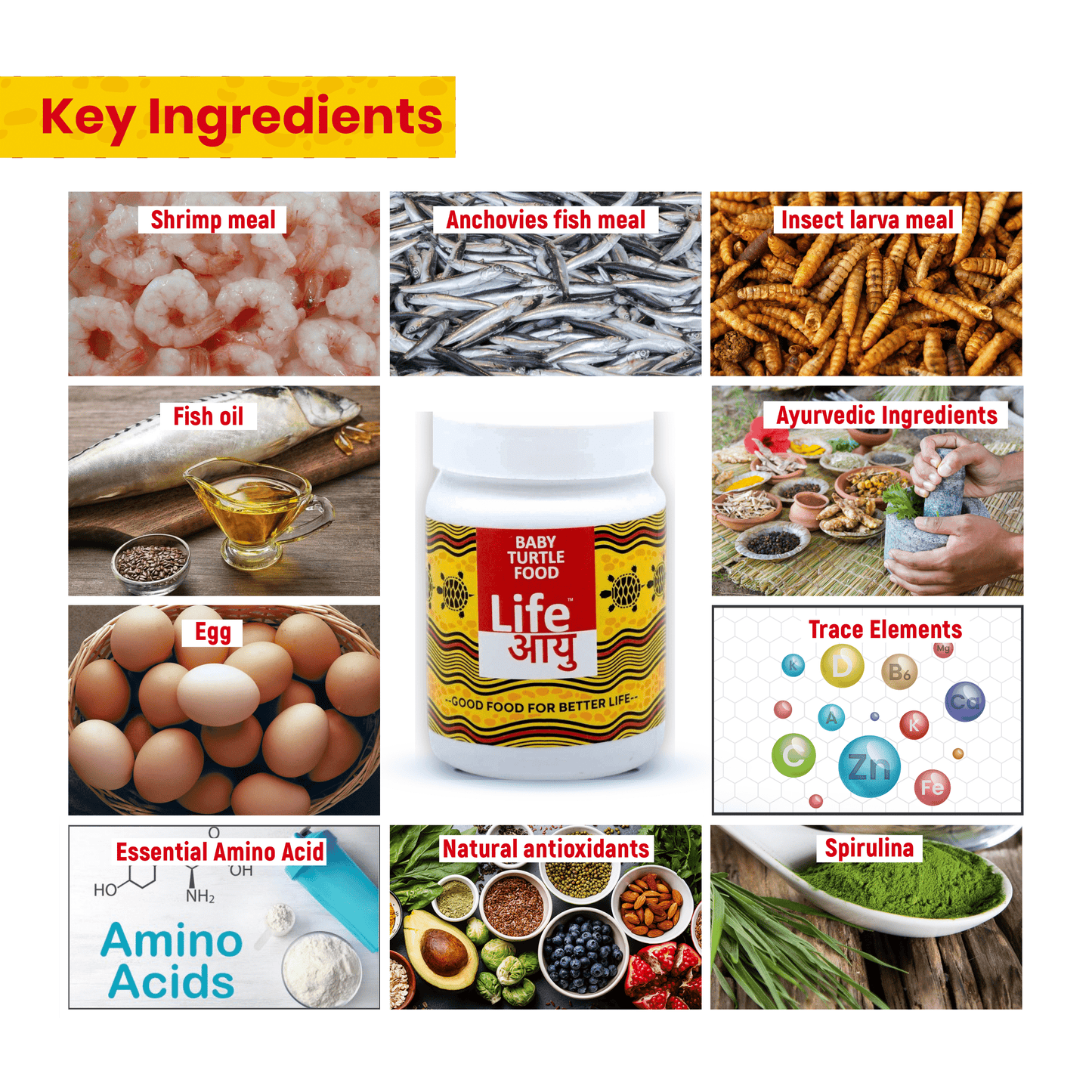 Life AAYU Baby Turtle Food – Ayurvedic Handmade Pellets for Shell Growth, Calcium & Vitality | For 2”–4” Baby Turtles (70g)