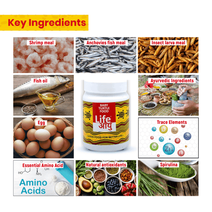 Life AAYU Baby Turtle Food – Ayurvedic Handmade Pellets for Shell Growth, Calcium & Vitality | For 2”–4” Baby Turtles (70g)