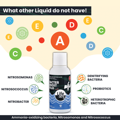 Life Aayu Bacter Boost Plus – Natural Aquarium Bacteria Starter for Clear Water, Ammonia Control Eco Balance | 100% Shrimp Safe