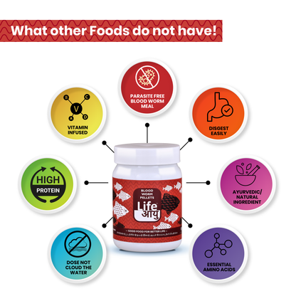 Life Aayu Blood Worm: High-Quality Blood Worm Fish Food