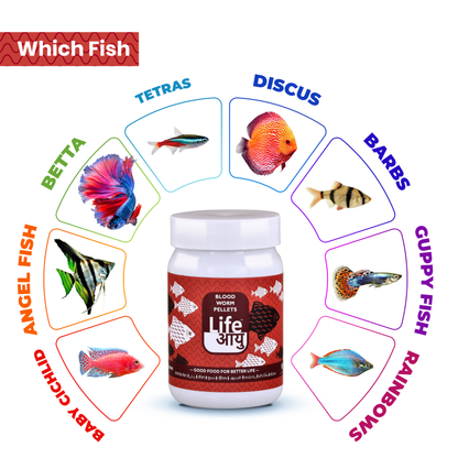 Life Aayu Blood Worm: High-Quality Blood Worm Fish Food