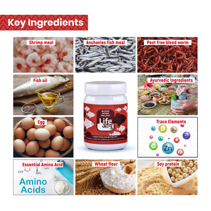 Life Aayu Blood Worm: High-Quality Blood Worm Fish Food