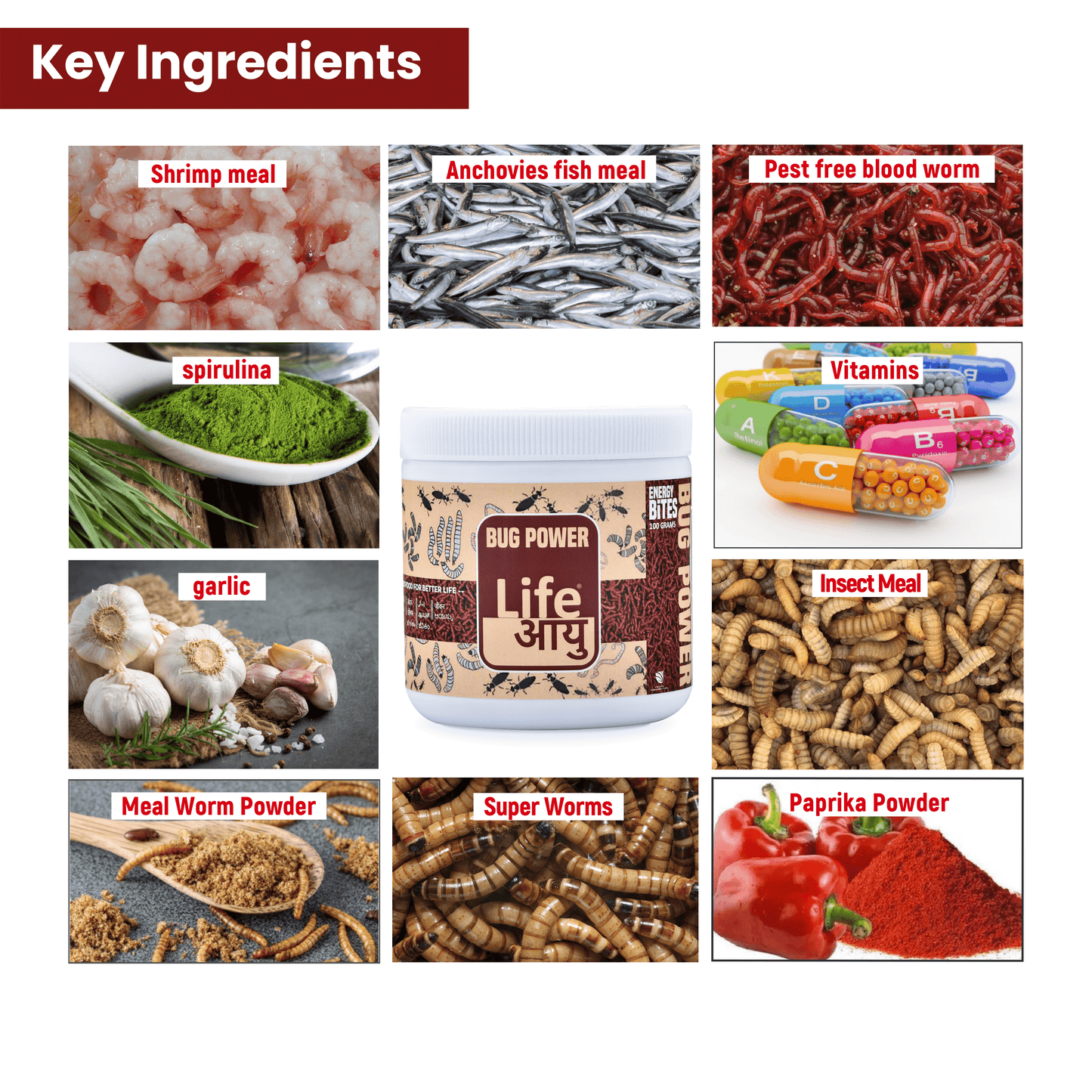 LIFE AAYU BUG POWER FISH FOOD