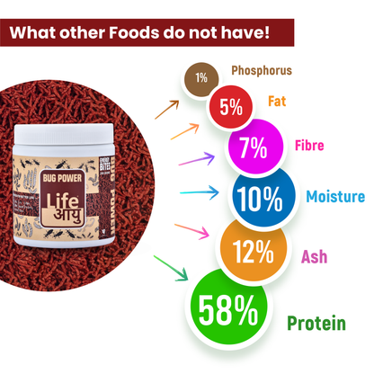 LIFE AAYU BUG POWER FISH FOOD