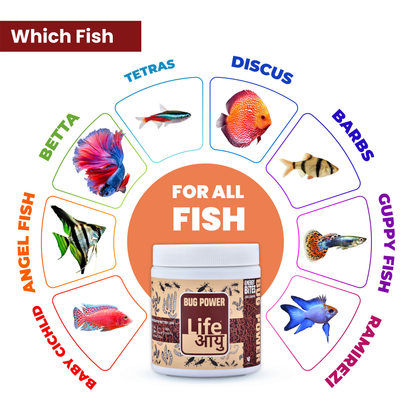 LIFE AAYU BUG POWER FISH FOOD