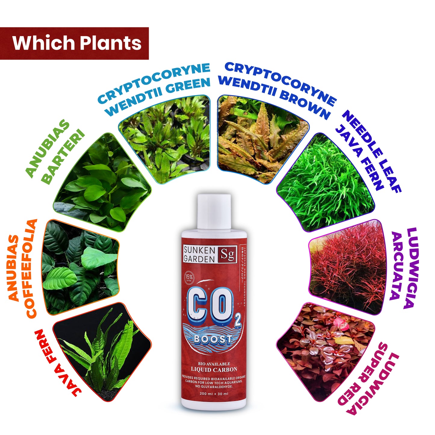 Sunken Garden Liquid CO2 Boost – Organic Carbon Source for Aquatic Plants | Algae-Free Growth | Shrimp Safe |