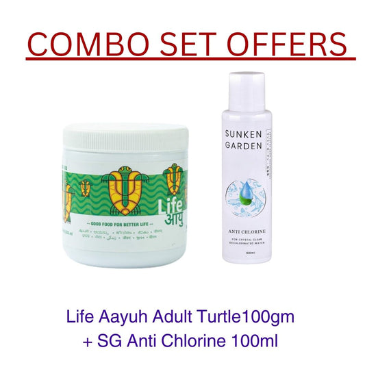 Adult Turtle 100gm combo offer