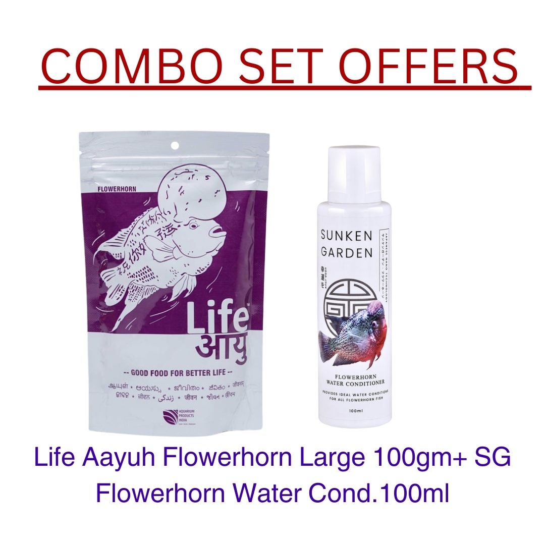 Flowerhorn large 100gm combo offer