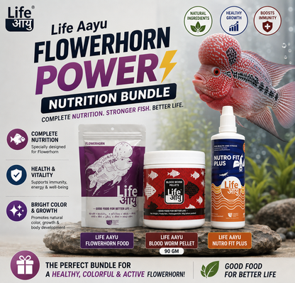 Life Aayu Flowerhorn Power Nutrition