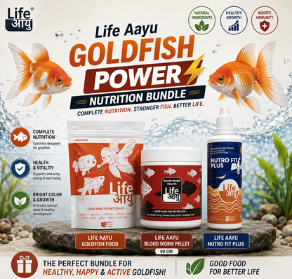 Life Aayu Goldfish Power Nutrition
