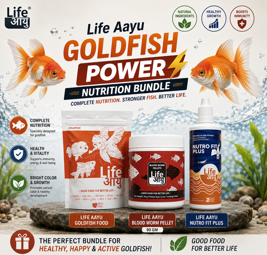Life Aayu Goldfish Power Nutrition