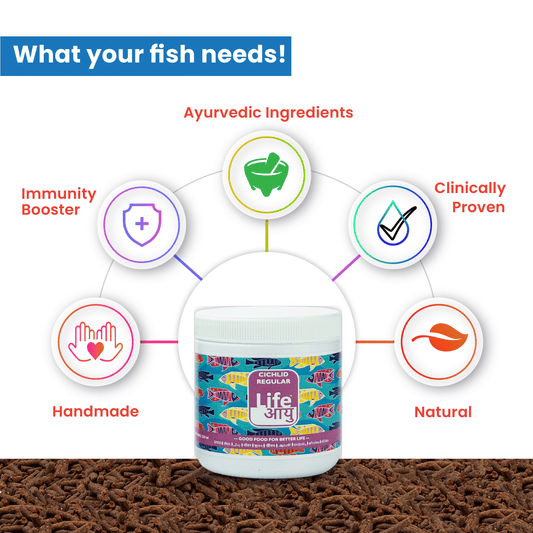 Life AAYUH Cichlid Regular Fish Food | Micro Pellets for African & Freshwater Cichlids | Daily Food for Color, Growth, Immunity & Digestion