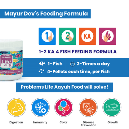 Life Aayu Cichlid Regular Fish Food