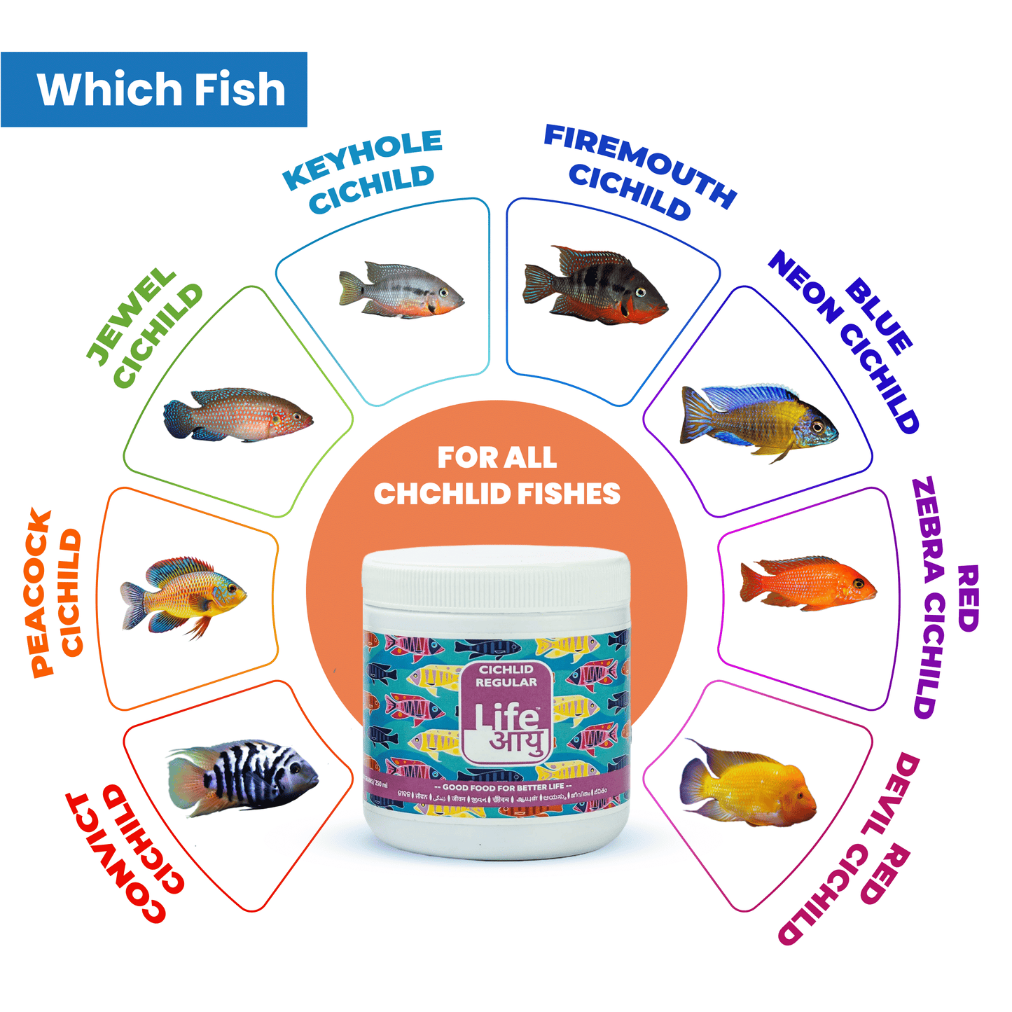 Life Aayu Cichlid Regular Fish Food