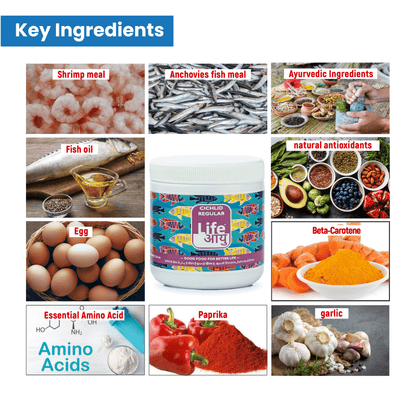 Life Aayu Cichlid Regular Fish Food