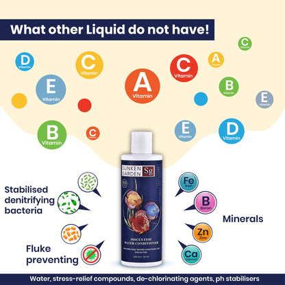 Sunken Garden Discus Fish Water Conditioner – Recreate the Amazon. Revive Their Radiance.