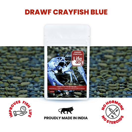 Life Aayu Dwarf Crayfish Blue - 15gm