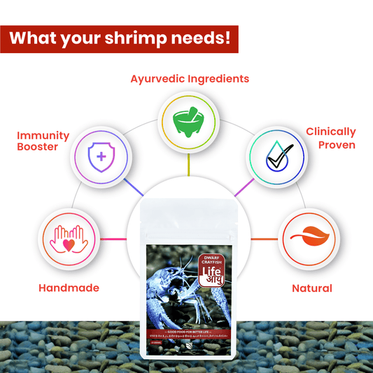Life AAYUH Dwarf Crayfish Blue Food (15g) | High-Protein Micro Pellets for Blue, Mexican & Dwarf Crayfish | Supports Molting, Shell Strength, Growth & Breeding