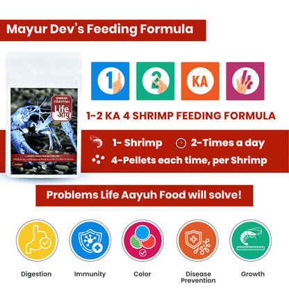 Life Aayu Dwarf Crayfish Blue - 15gm