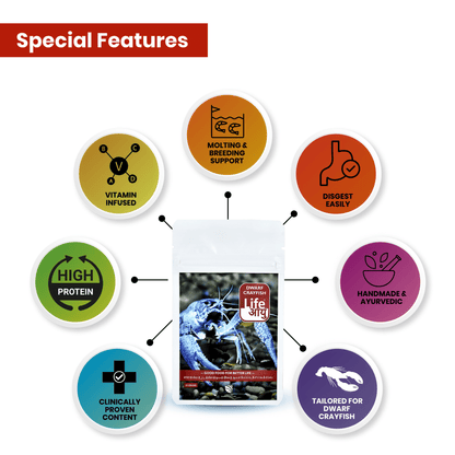 Life Aayu Dwarf Crayfish Blue - 15gm