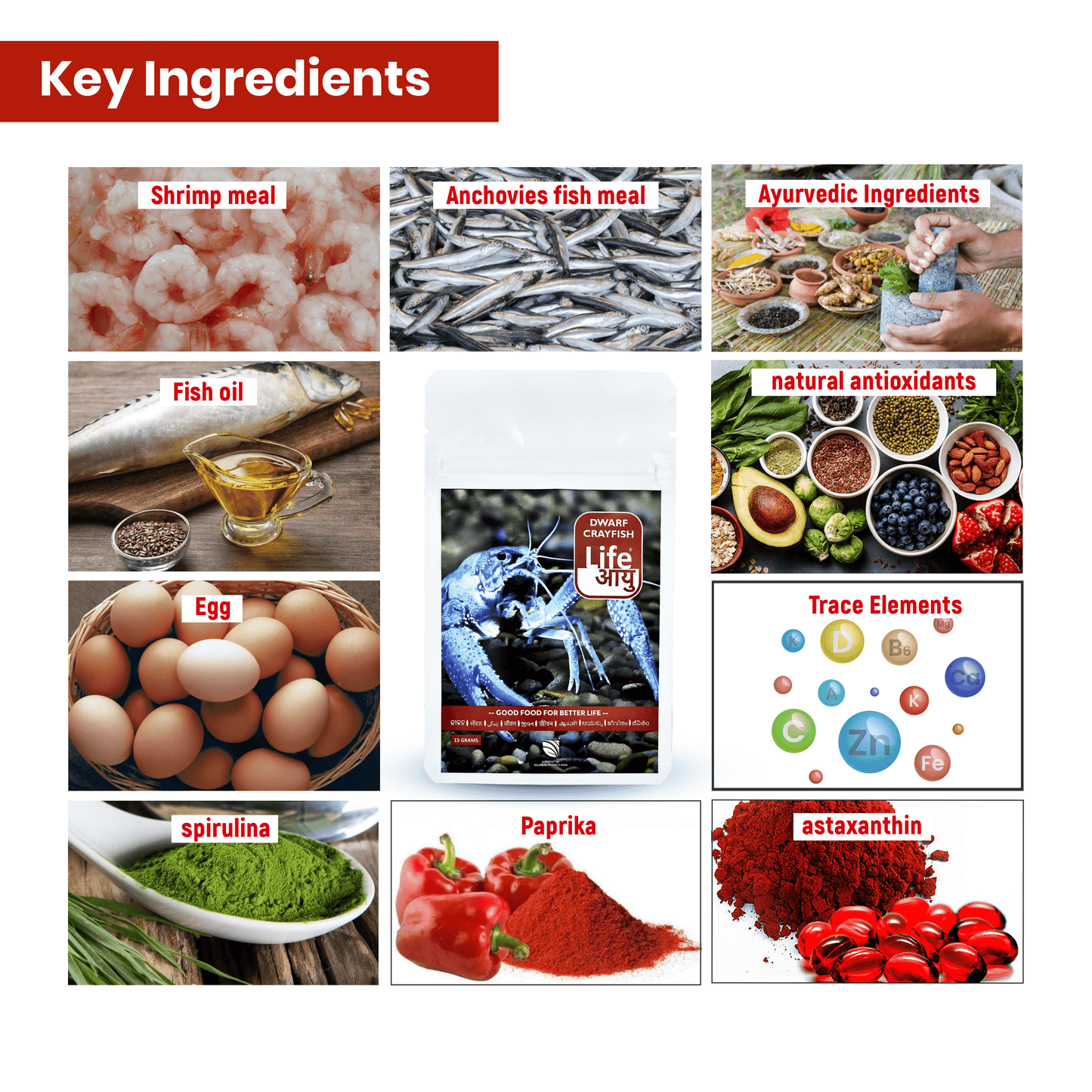 Life Aayu Dwarf Crayfish Blue - 15gm