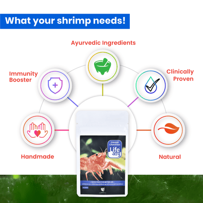 Life Aayu Dwarf Crayfish Orange Food | Breeding, Molting & Growth Booster | Handmade Ayurvedic Formula