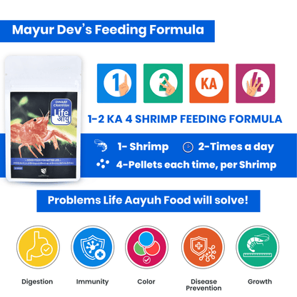 Life Aayu Dwarf Crayfish Orange Food | Breeding, Molting & Growth Booster | Handmade Ayurvedic Formula