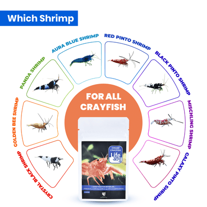 Life Aayu Dwarf Crayfish Orange Food | Breeding, Molting & Growth Booster | Handmade Ayurvedic Formula