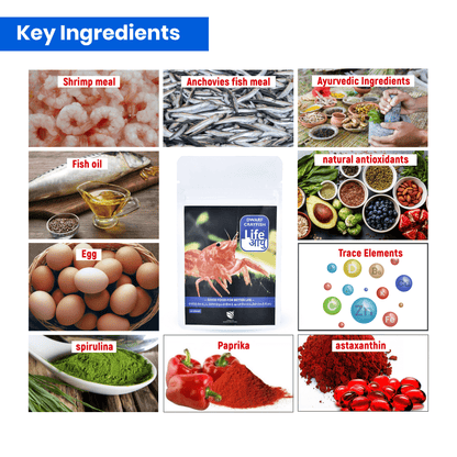 Life Aayu Dwarf Crayfish Orange Food | Breeding, Molting & Growth Booster | Handmade Ayurvedic Formula