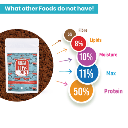 Life Aayu Shrimp Exotic Food 15g - Best Growth & Breeding