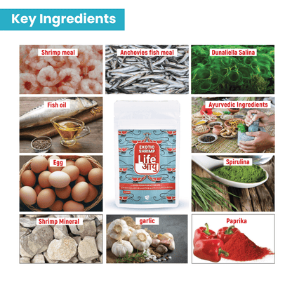 Life Aayu Shrimp Exotic Food 15g - Best Growth & Breeding