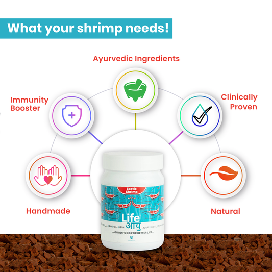 Life AAYUH Shrimp Exotic Food | Micro Pellets for Caridina Shrimp | CRS, CBS, Taiwan Bee, Pinto & Crystal Shrimp Food for Molting, Breeding & Immunity