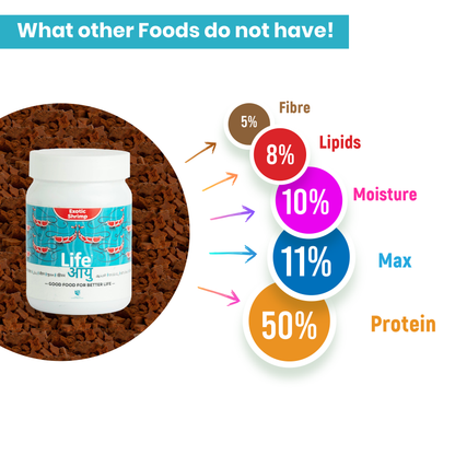 Life Aayu Shrimp Exotic Food 30g - Best Growth & Breeding