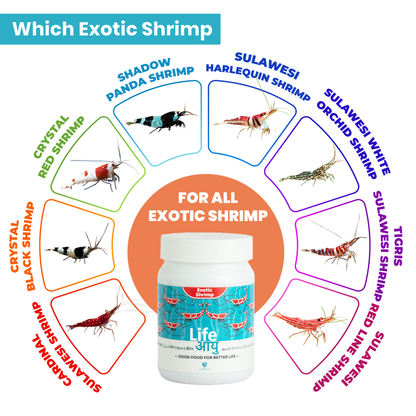 Life Aayu Shrimp Exotic Food 30g - Best Growth & Breeding
