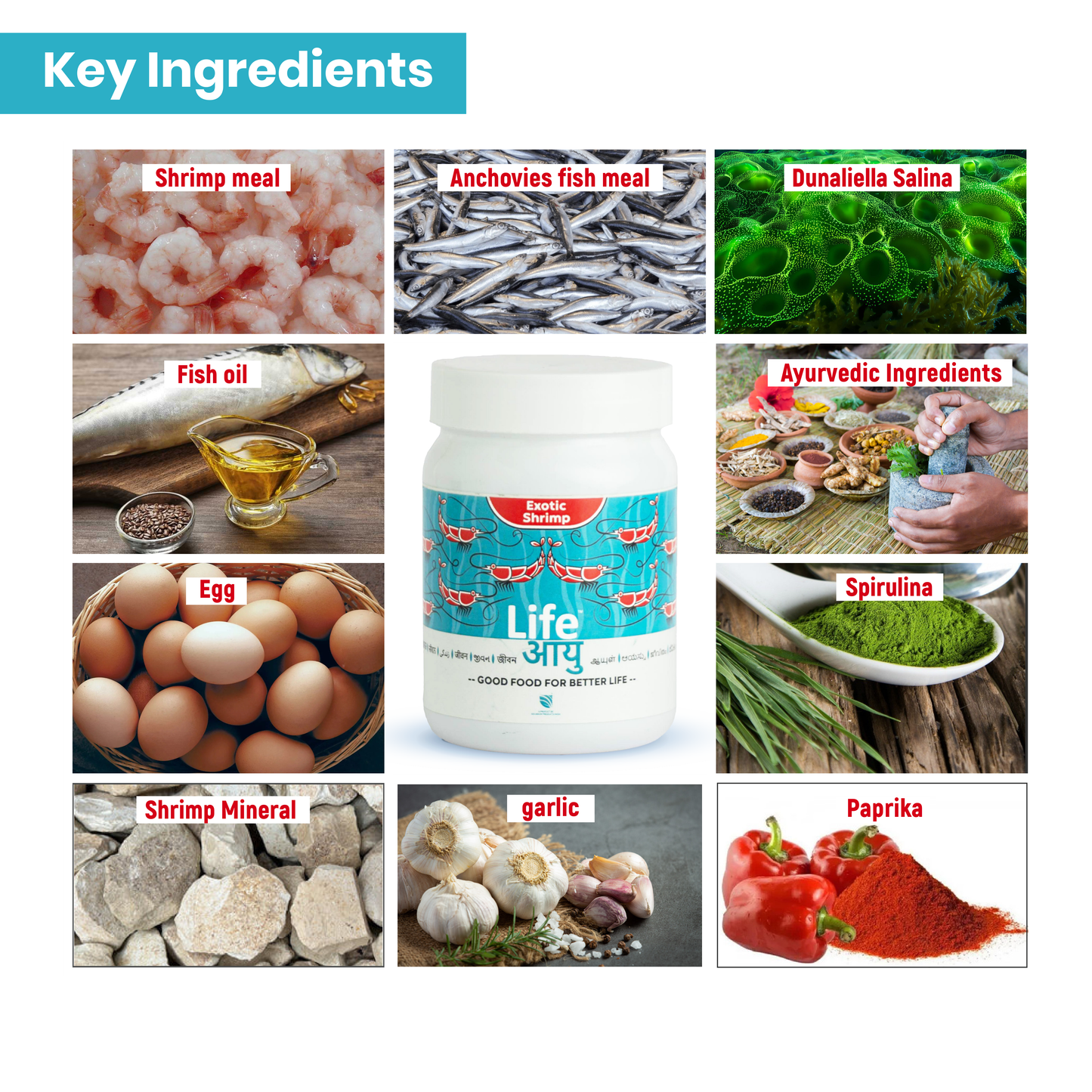 Life Aayu Shrimp Exotic Food 30g - Best Growth & Breeding