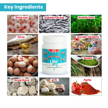 Life Aayu Shrimp Exotic Food 30g - Best Growth & Breeding