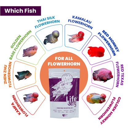 Life AAYU Flowerhorn Food – Ayurvedic Growth & Color Boost Formula for Juvenile And Adult Flowerhorns | With Papaya, Red Paprika & Tulsi (100g)