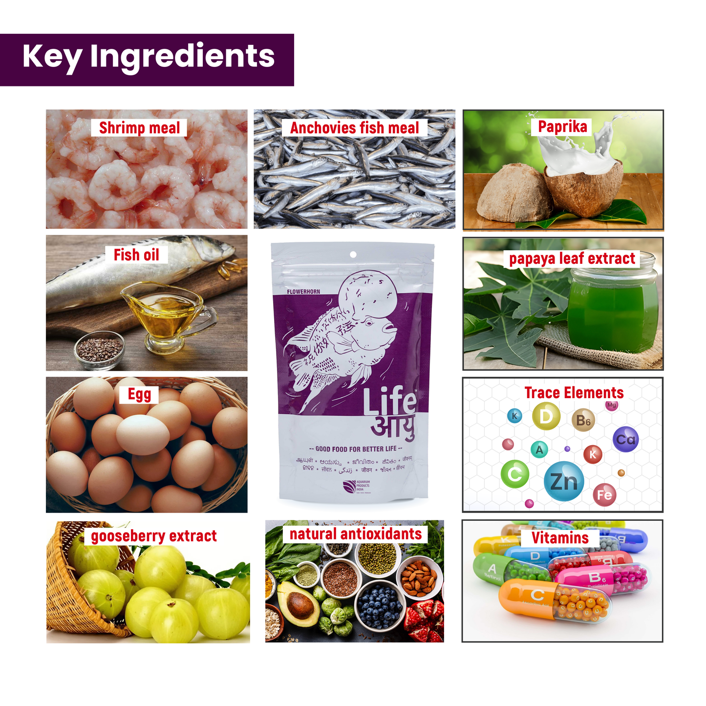 Life AAYU Flowerhorn Food – Ayurvedic Growth & Color Boost Formula for Juvenile And Adult Flowerhorns | With Papaya, Red Paprika & Tulsi (100g)