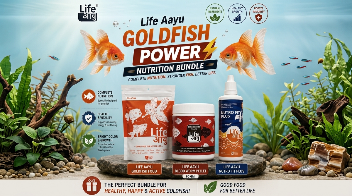 Life Aayu Goldfish Power Nutrition