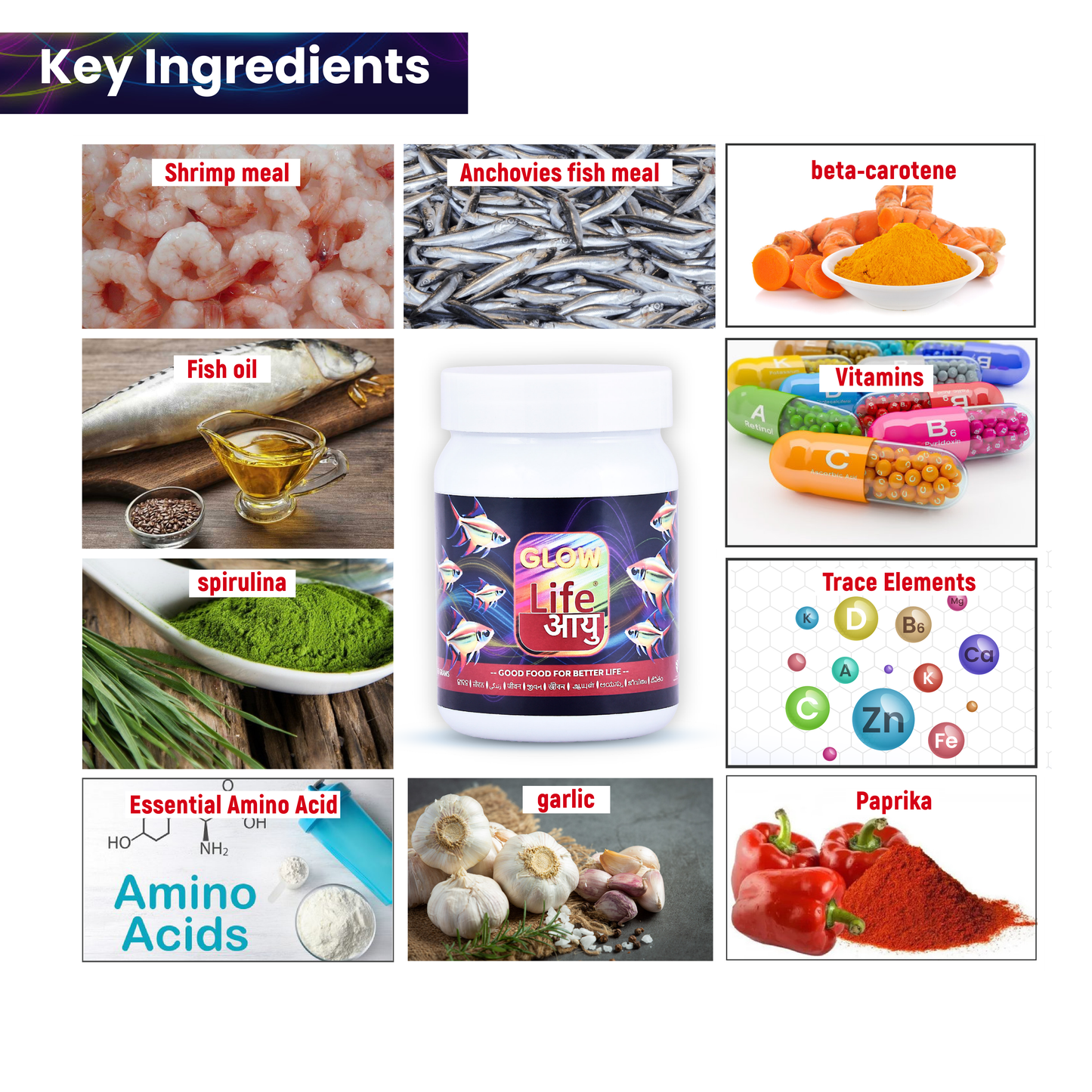 Life Aayuh GLOW FISH FOOD 63g