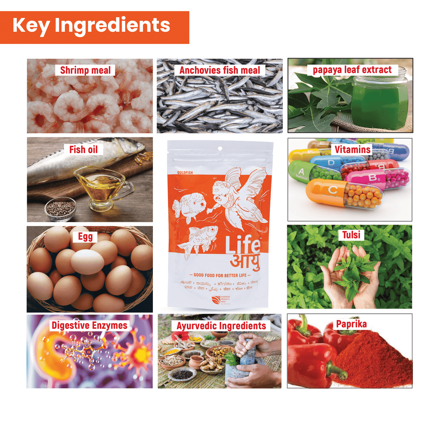 Life AAYU Goldfish Food – Ayurvedic Soft-Sinking Pellets with Tulsi, Papaya & Red Paprika for Color, Digestion & Immunity (100g)