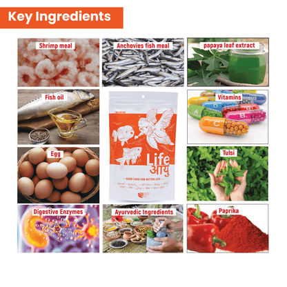 Life AAYU Goldfish Food – Ayurvedic Soft-Sinking Pellets with Tulsi, Papaya & Red Paprika for Color, Digestion & Immunity (100g)