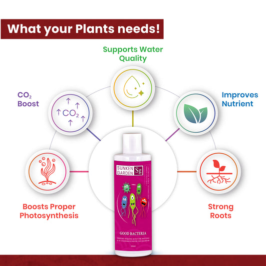 Sunken Garden Good Bacteria | Beneficial Bacteria for Aquarium Water Clarity, Biological Filtration & Nitrogen Cycle Support