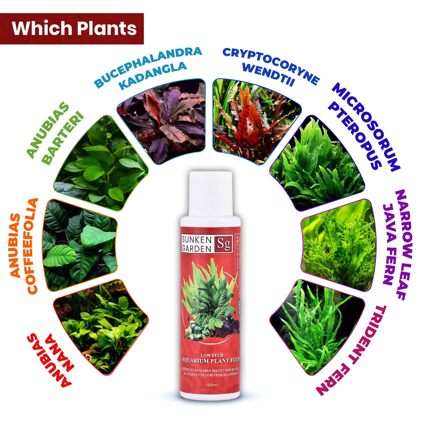 Sunken Garden Green – All-in-One Aquarium Plant Fertilizer | CO₂ & Non-CO₂ Compatible | Anti-Algae Formula