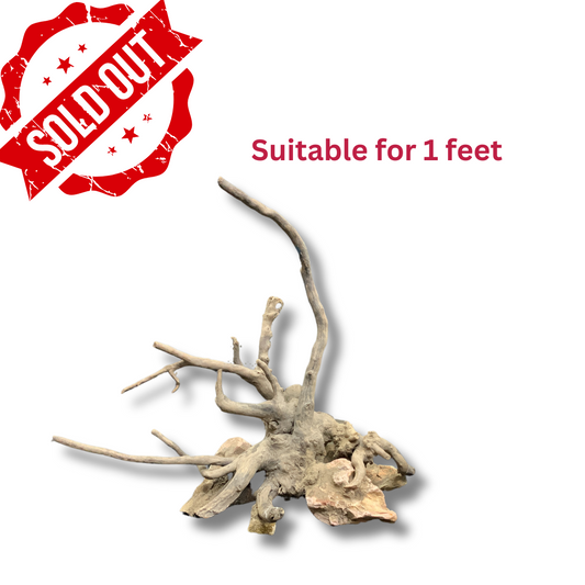 Ready-to-Use Driftwood Aquascape Setup – For 1 ft Aquarium Tank (Additional Shipping charges will be applicable)